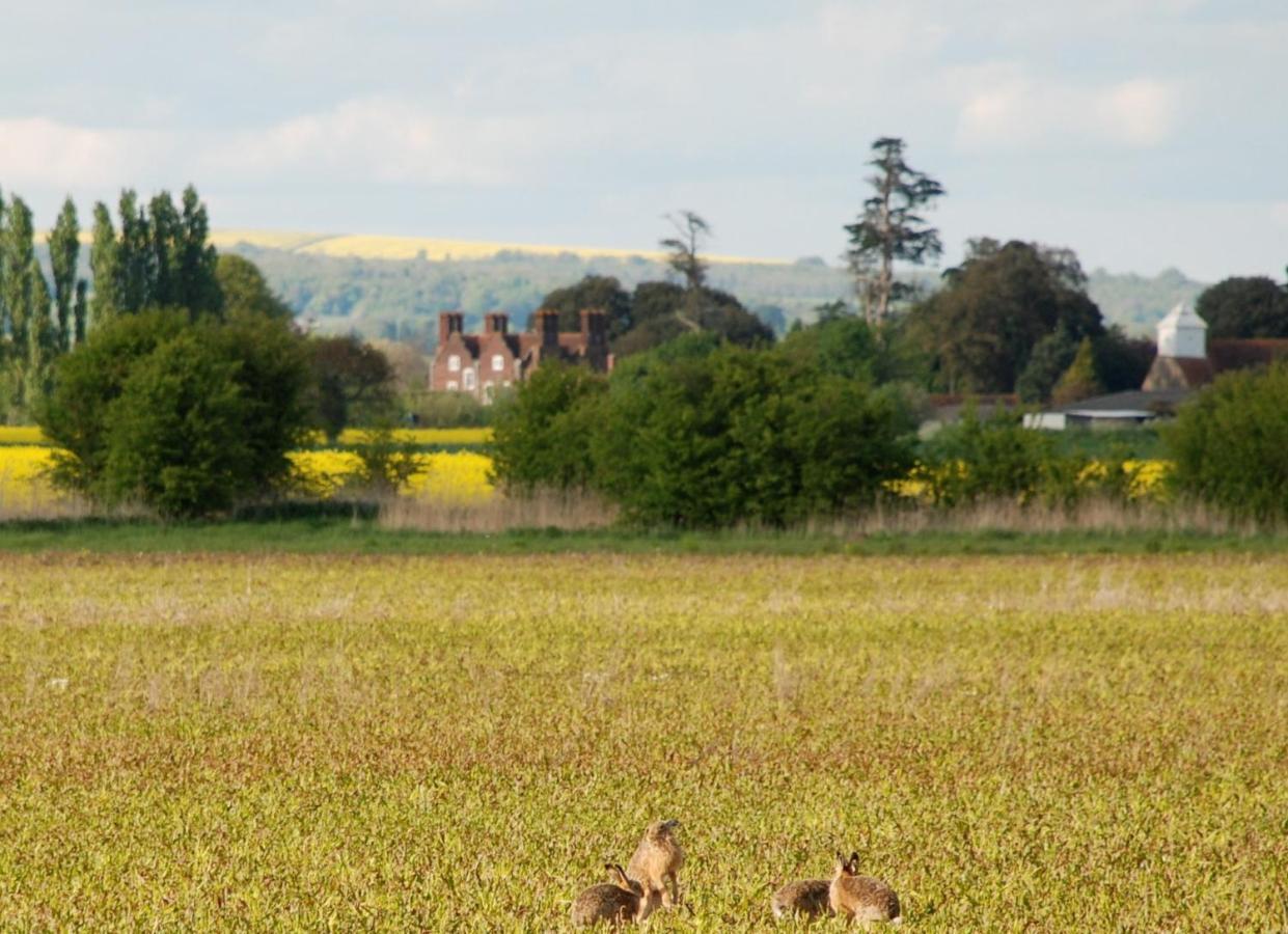 Barnham Court Farm Villa Buitenkant foto